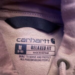 Carhartt Relaxed Fit Hoodie in Brown